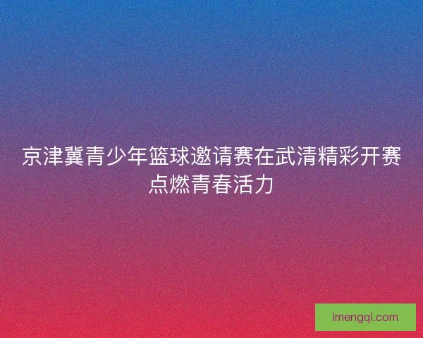 京津冀青少年篮球邀请赛在武清精彩开赛点燃青春活力